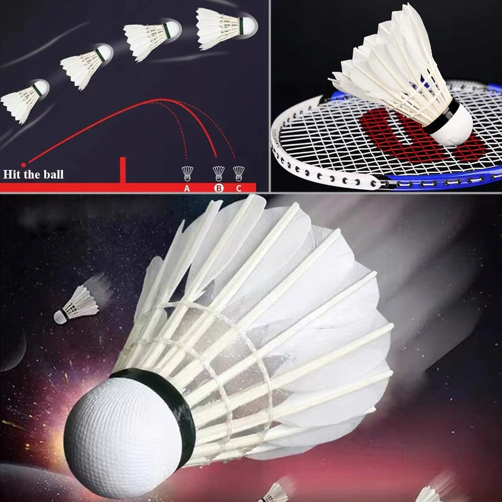 Dollcini Set de Badminton – Premium și Standard, Pachet de 12 bucăți