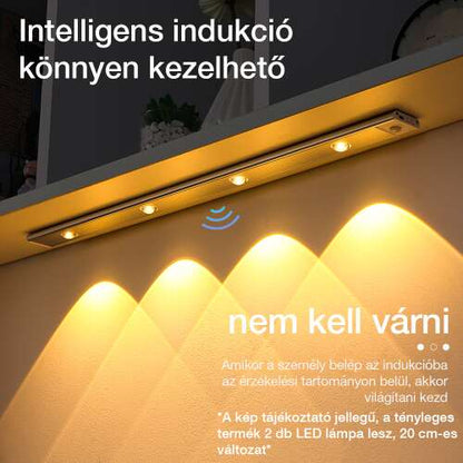 Dollcini Otthon Lampă LED Smart – Cu senzor de mișcare, Lumină rece, 21 cm