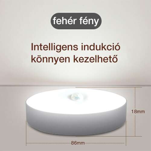 Dollcini Otthon Lampă LED Smart – Cu senzor de mișcare, Lumină rece, 21 cm
