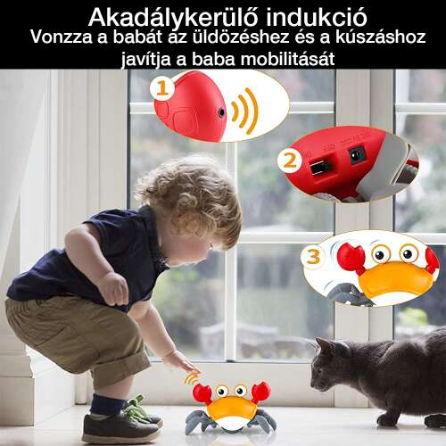 Dollcini Jucărie Interactivă Rac – Muzicală, cu LED-uri, pentru Dezvoltarea Abilităților