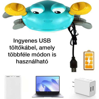 Dollcini Jucărie Interactivă Rac – Muzicală, cu LED-uri, pentru Dezvoltarea Abilităților