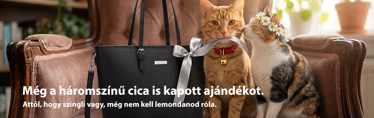 Dollcini banner